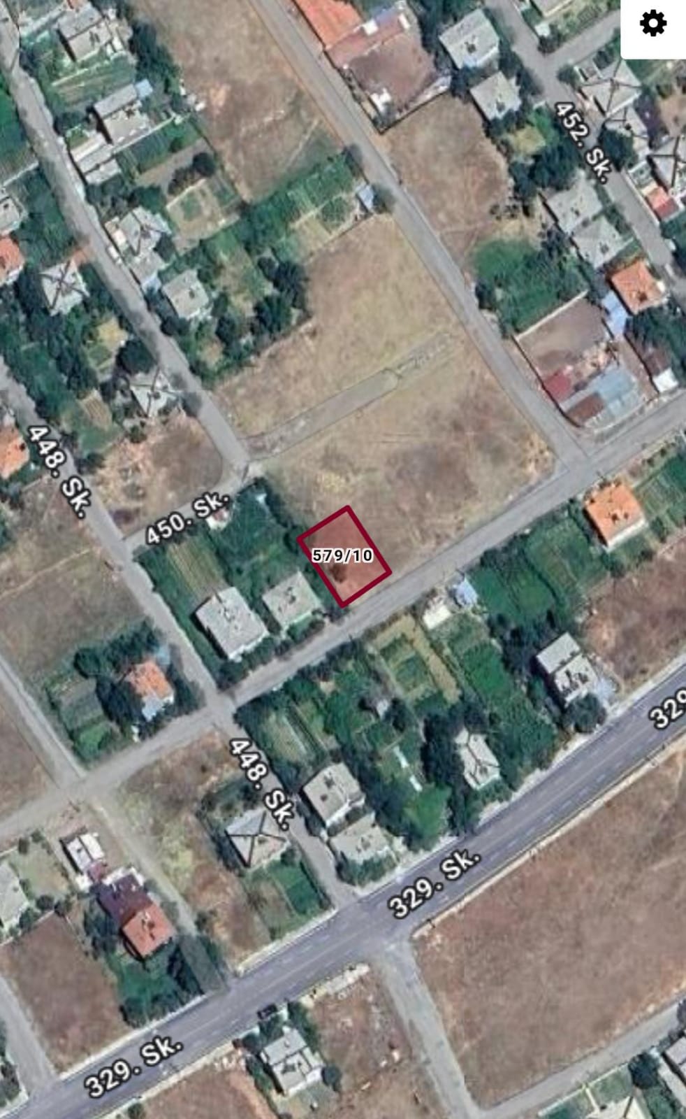 Fotoğraf